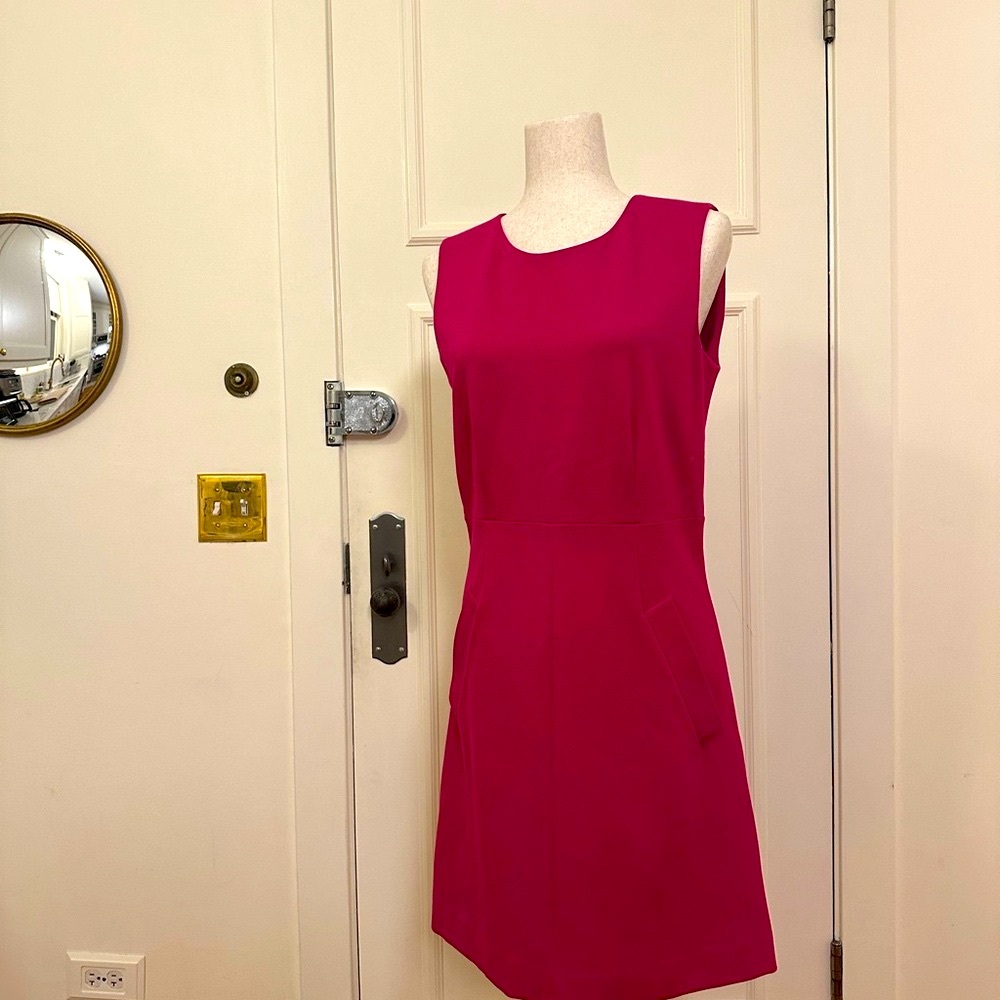 Diane Von Furstenberg Fuchsia Mini Dress